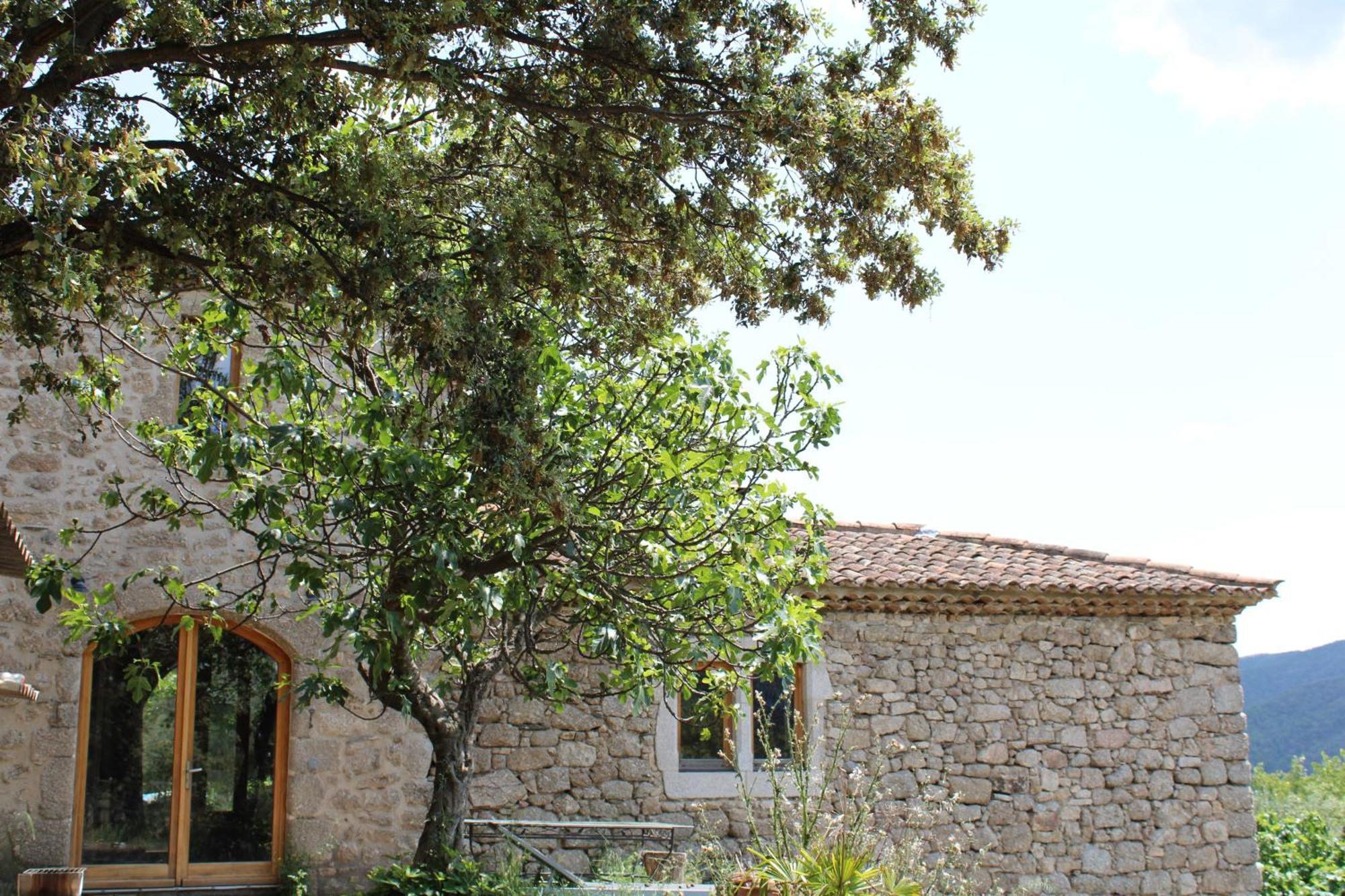 Le Puech, Chambre D'Hotes En Cevennes Saint-André-de-Majencoules 외부 사진